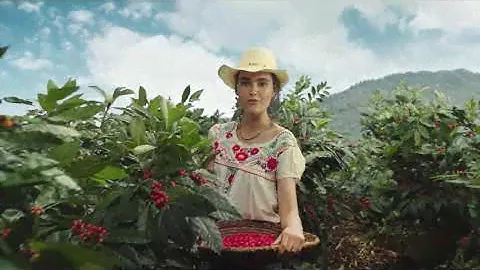 Lavazza More Than Italian - Tierra - Spot 30” | Lavazza France