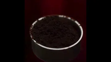Carmencita Black | Lavazza