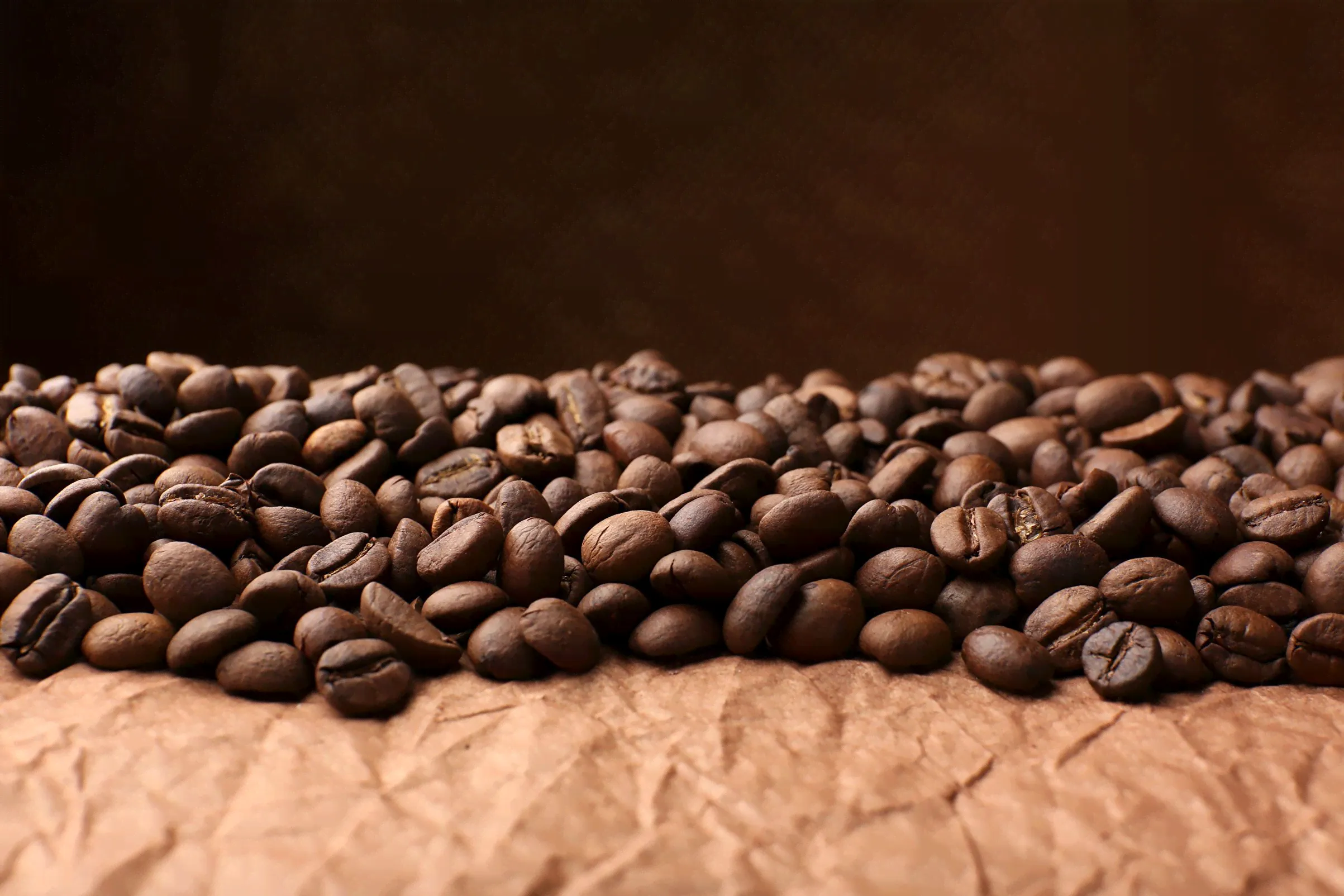 lavazza espresso perfetto опт