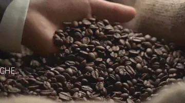 Lavazza BLUE