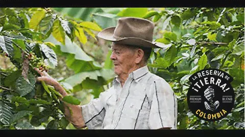 Tierra Colombia project Lavazza Foundation