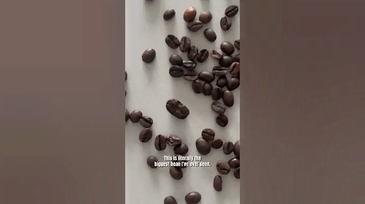 I found the biggest coffee bean in this bag