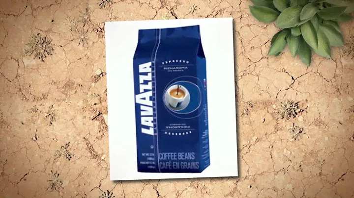 Lavazza and Segafredo Italy's Preferred Gourmet Coffee